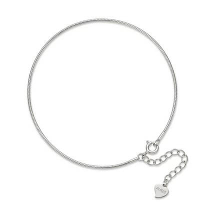 Shiny Smooth Anklets